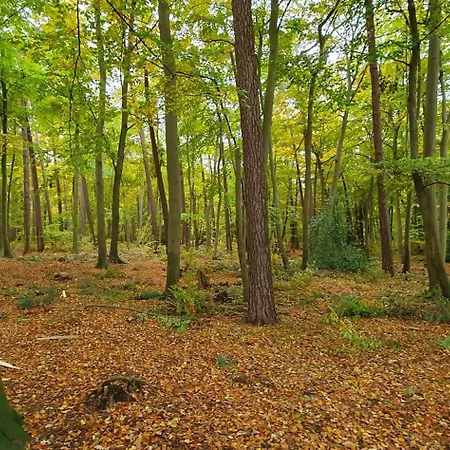 Heimathafen Strandstrasse Appartement